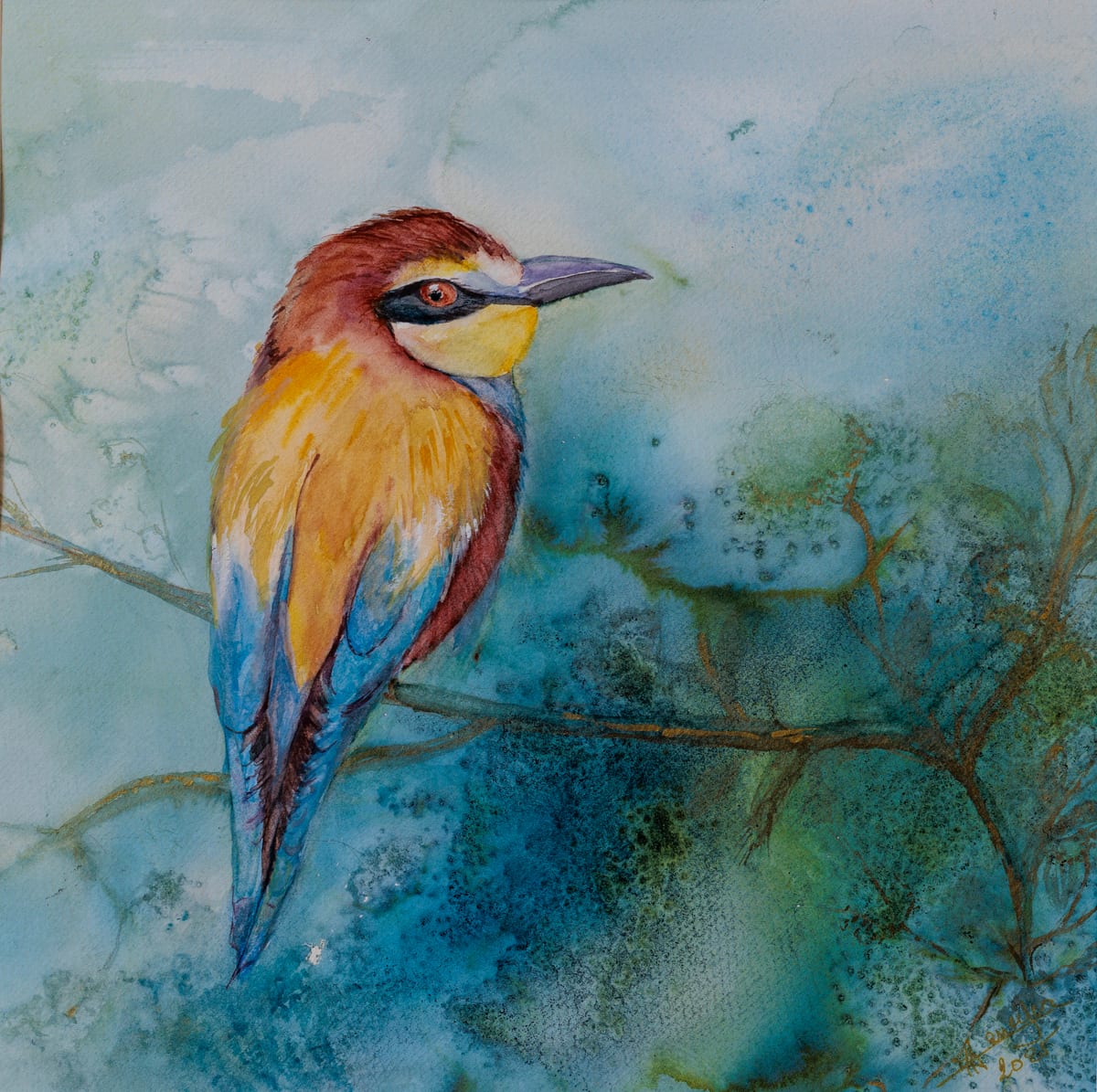 Bird