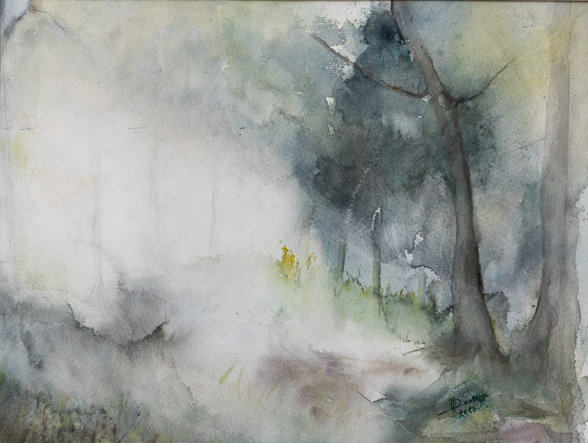 Mist in forest