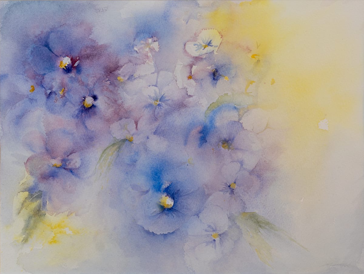 Pansy