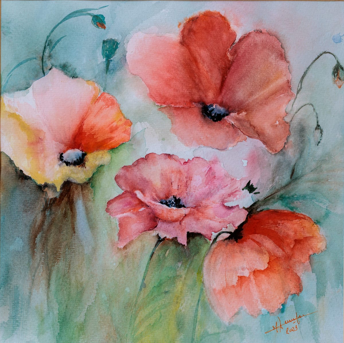 Pretty poppy, wildflowers